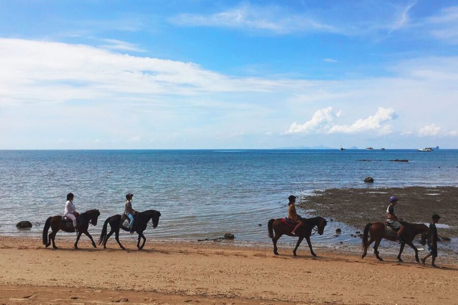 Krabi: Horseback Riding on the Beach - Is $62 good value?