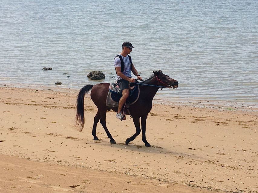 Krabi: Horseback Riding on the Beach - Practical planning for the day