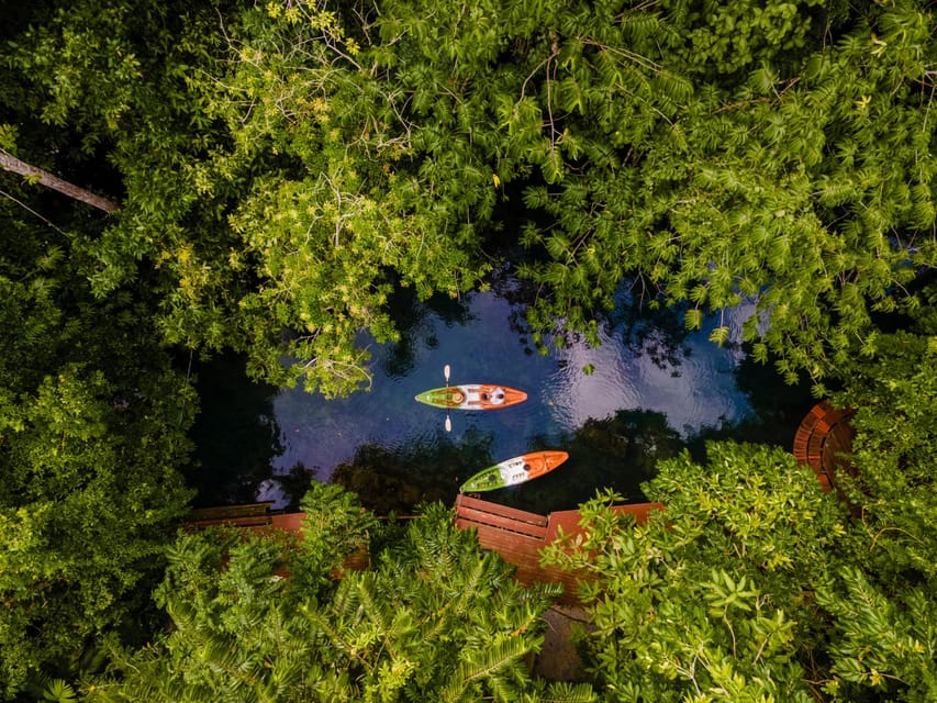 Krabi: Kayak Adventure through Ao Thalane Mangrove Forest - What to pack for Ao Thalane