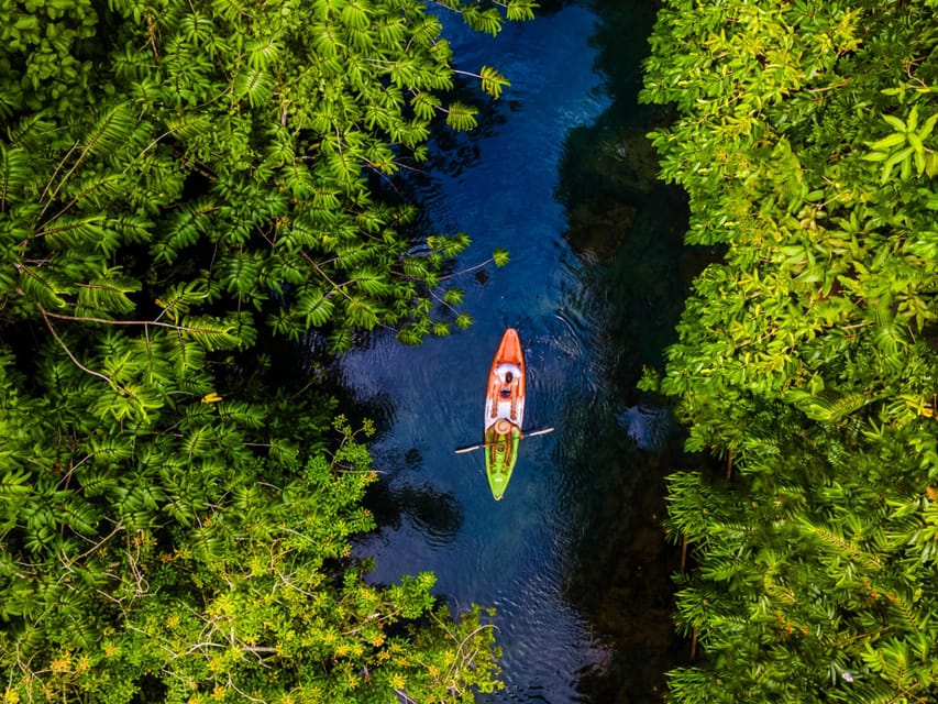 Krabi: Kayak Adventure through Ao Thalane Mangrove Forest - Paddling through mangrove channels