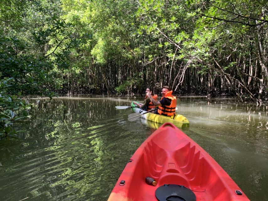 Krabi: Kayak in Mangrove Forest with Meal Aonang - Key points to know before you book