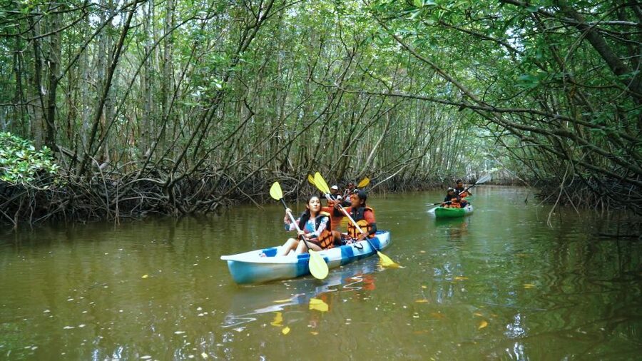 Krabi: Kayak in Mangrove Forest with Meal Aonang - Why this short Krabi tour works