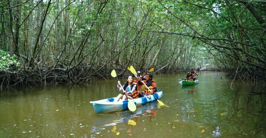 Krabi: Kayak in Mangrove Forest with Meal Aonang - The halfway pause and quiet lunch