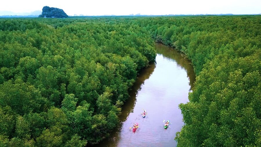 Krabi: Kayak in Mangrove Forest with Meal Aonang - What the $32 price really covers