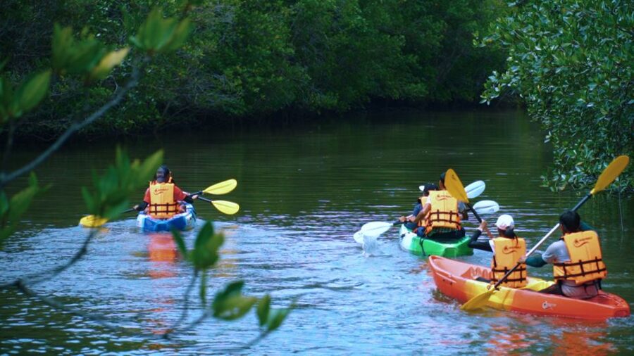 Krabi: Kayak in Mangrove Forest with Meal Aonang - Starting from Ao Nam Mao