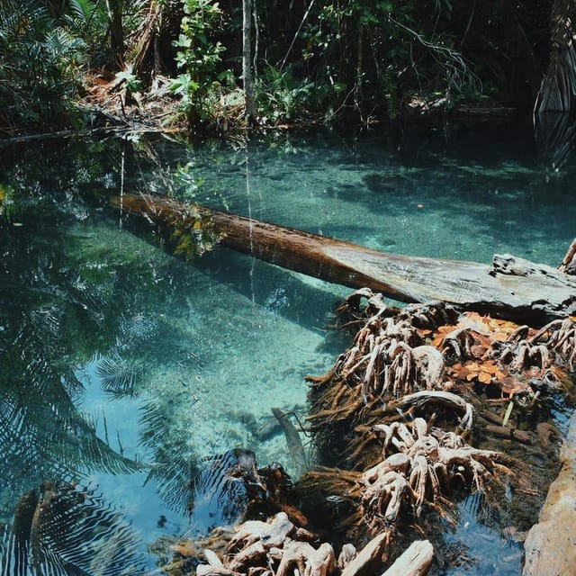 Krabi kayaking and swimming clongrood Tour - Paddling Through Khlong Root’s Clear Water
