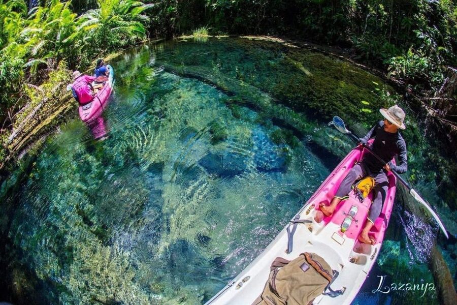 Krabi kayaking and swimming clongrood Tour - Fish, Forest, and Small Details