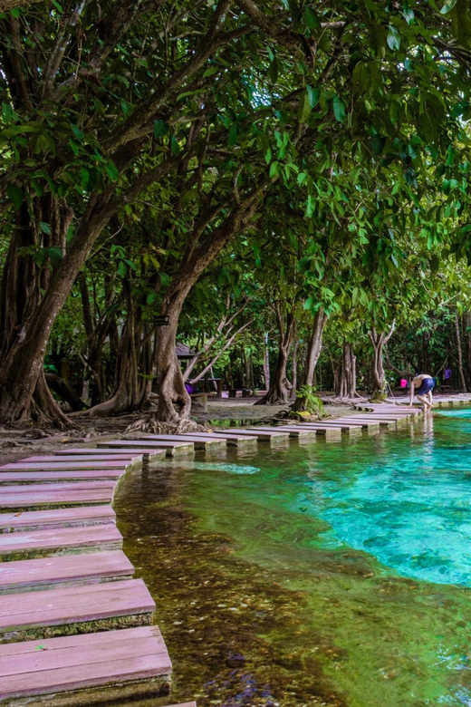 Krabi: Kayaking, Crystal Lagoon, and Fish Spa in Klong Root - Kayaking among roots and quiet waterways