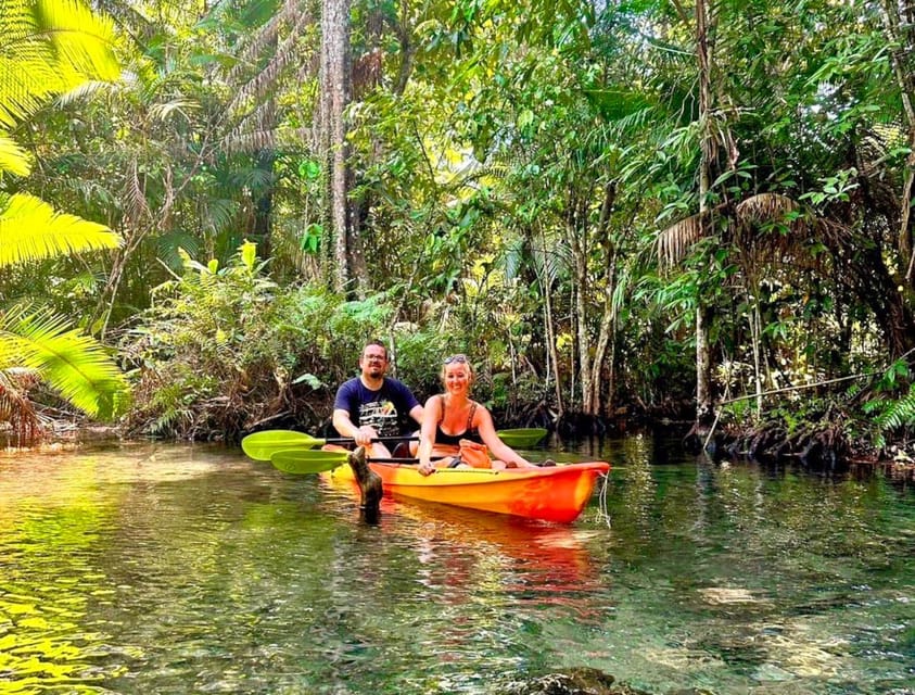 Krabi: Kayaking, Crystal Lagoon, and Fish Spa in Klong Root - The pineapple farm is a brief local stop