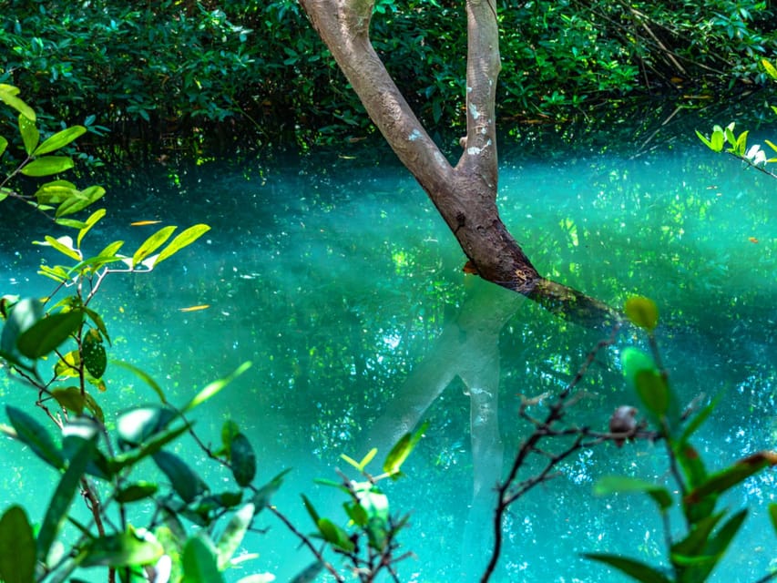 Krabi: Kayaking, Crystal Lagoon, and Fish Spa in Klong Root - Choosing the final departure for sunset