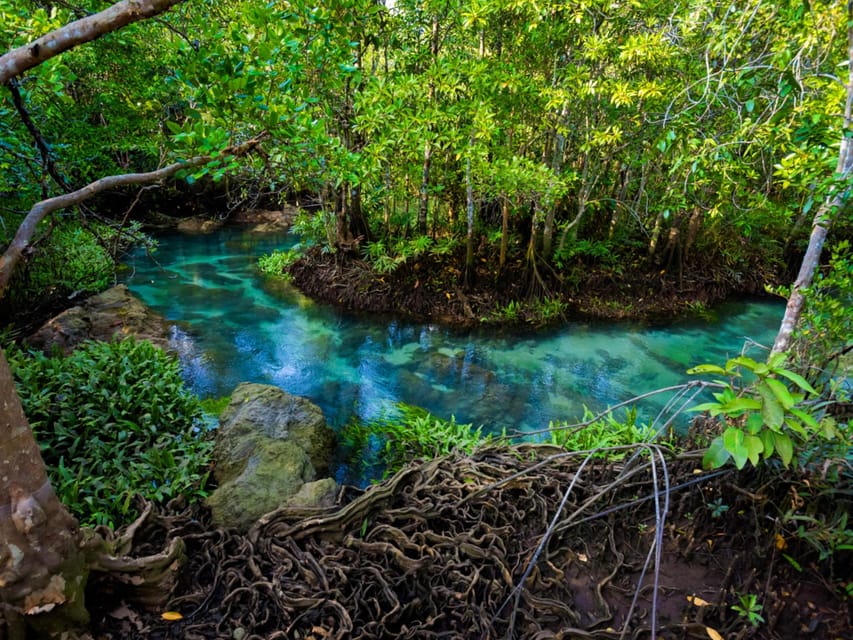 Krabi: Kayaking, Crystal Lagoon, and Fish Spa in Klong Root - Who will enjoy this Krabi outing most