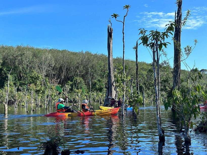 Krabi: Klong Root (Crystal lake) Kayaking tour - Why Klong Root is worth your time
