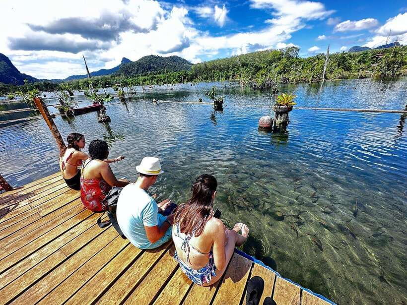 Krabi: Klong Root (Crystal lake) Kayaking tour - Guides, safety, and the family factor