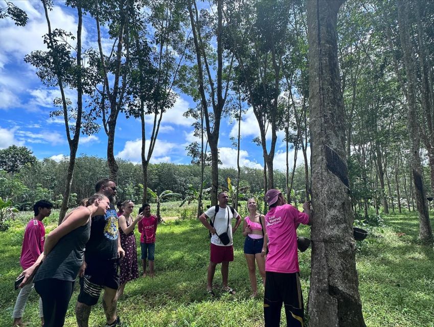 Krabi: Klong Root Kayaking Viewpoint,Fish Feeding and more - Key points to know before you book