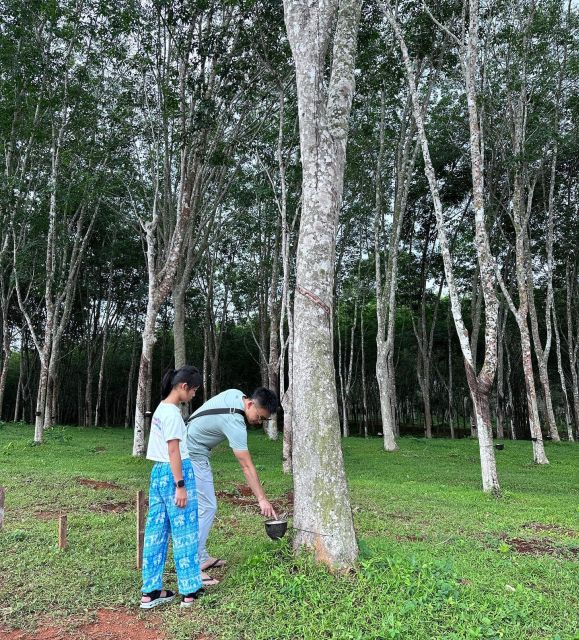 Krabi: Klong Root Kayaking Viewpoint,Fish Feeding and more - Paddling through the spring-fed swamp forest