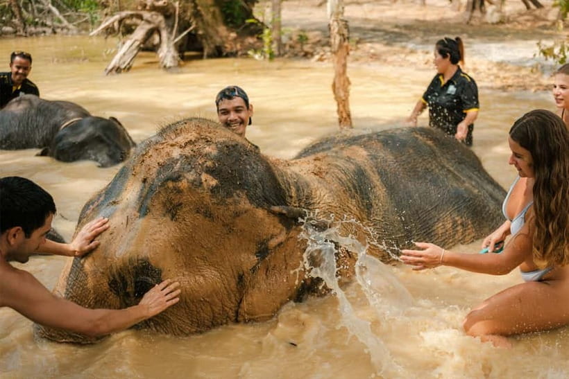 Krabi: Love Elephant Sanctuary Tour - Ancient tools and the story behind elephant care