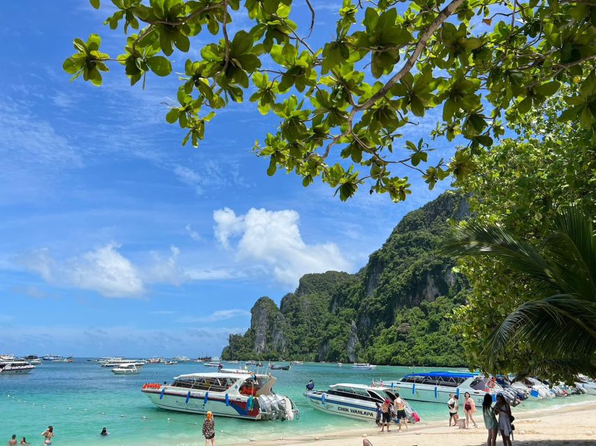 Krabi: One Day Phi Phi Island by speed boat ( Join ) - Maya Bay and the Reality of a Famous Beach