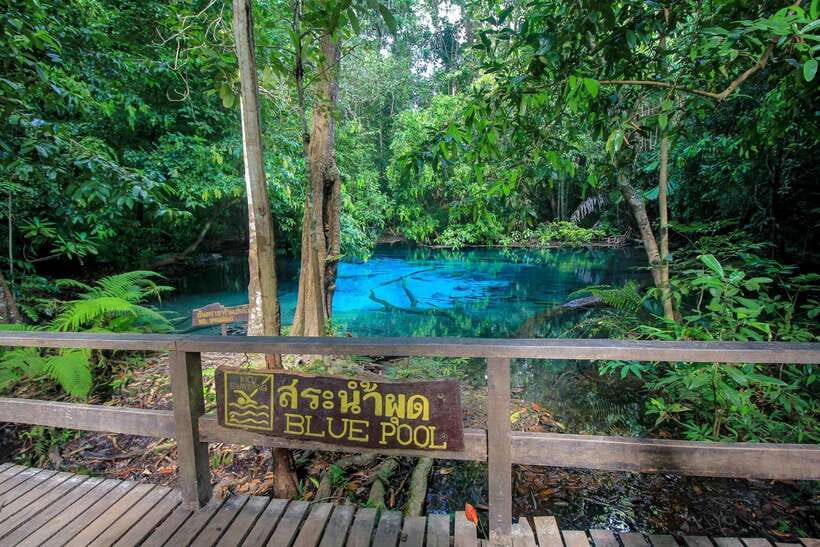 Krabi Outback Explorer to Emerald Pool & Wareerak Hotspring - Thai lunch in Khlong Thom Nuea