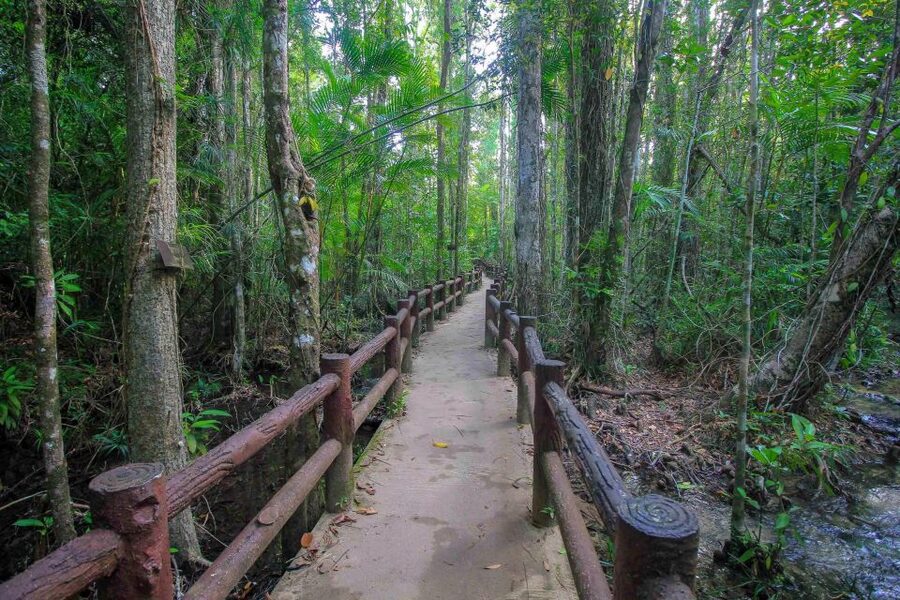 Krabi Outback Explorer with Visit of Tiger Cave Temple - Key points to know before you book