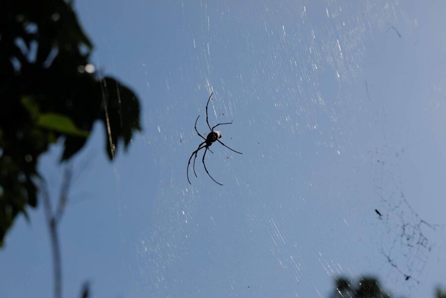 Krabi Outback Explorer with Visit of Tiger Cave Temple - Why this Krabi day trip works