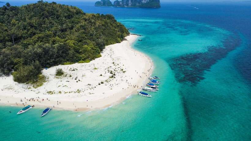 Krabi: Phi Phi Islands Speedboat Tour with Buffet Lunch - Key details before you book