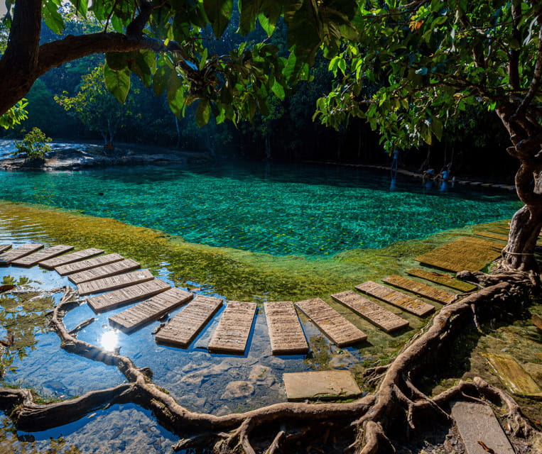Krabi: Rainforest Jungle Tour with Emerald Pool & Hot Spring - What the $48 price really covers