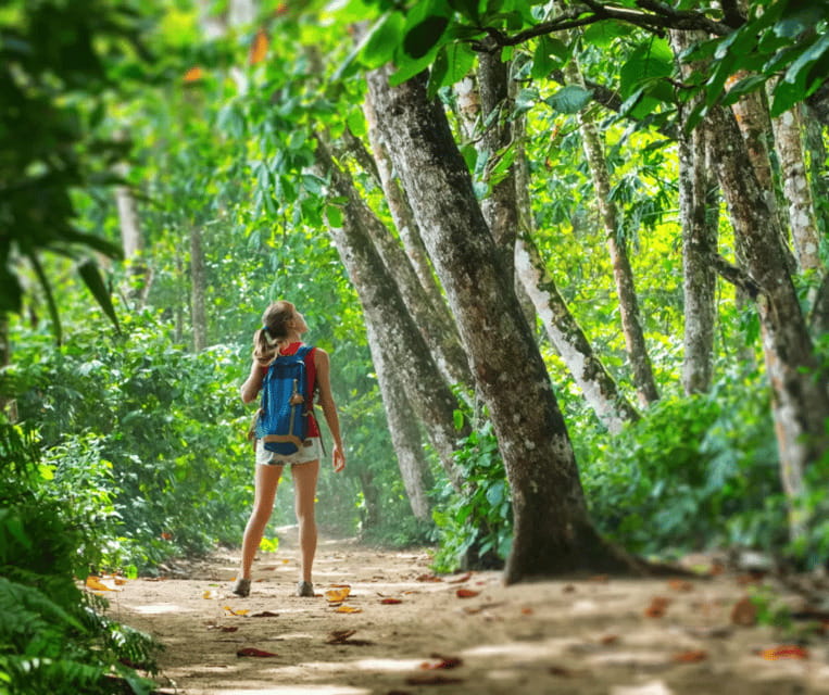 Krabi: Rainforest Jungle Tour with Emerald Pool & Hot Spring - Why the guide can make or break the day