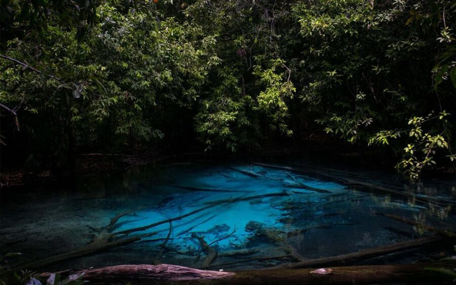Krabi: Tiger Cave, Hot Springs and Emerald Pool Jungle Tour - Walking through Thung Teao Forest to the Emerald Pool