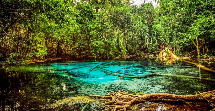Krabi: Tiger Cave Temple, Emerald Pool and Hot Springs Tour - Hot Springs Waterfall: warm water and a slower rhythm