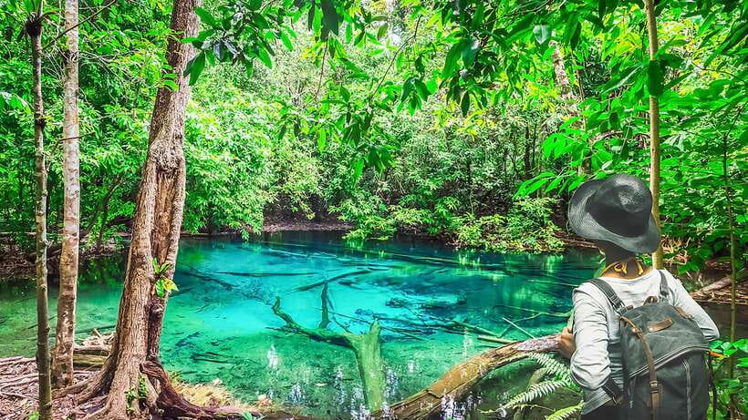 Krabi: Tiger Cave Temple, Emerald Pool and Hot Springs Tour - Emerald Pool: the cool start in the forest