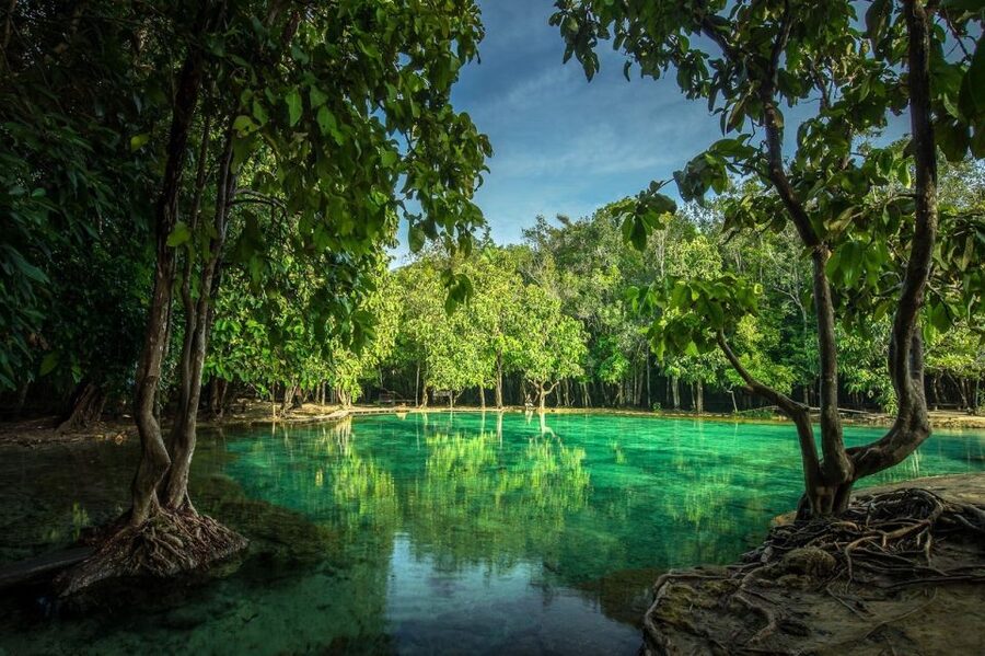 Krabi: Tiger Temple, Hot Springs & Crystal Pool Jungle Tour - Three Krabi sights in one long day