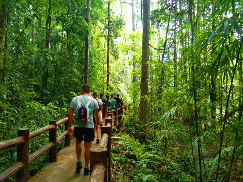 Krabi: Tiger Temple, Hot Springs & Crystal Pool Jungle Tour - The 40°C water at Klong Thom