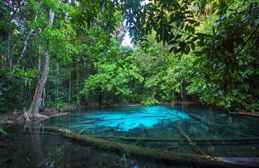 Krabi: Tiger Temple, Hot Springs & Crystal Pool Jungle Tour - Guides make the biggest difference
