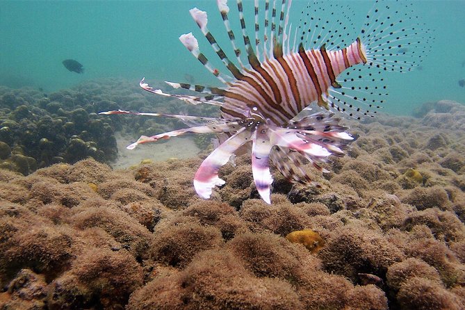 Local Reef Snorkelling and Deserted Beach - Mangroves, fishing villages, and a quieter side of Khao Lak