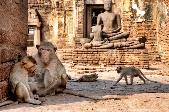 Lopburi Monkey Temple & Ayutthaya Old City Tour From Bangkok - Phra Prang Sam Yot and Lopburi’s monkey problem
