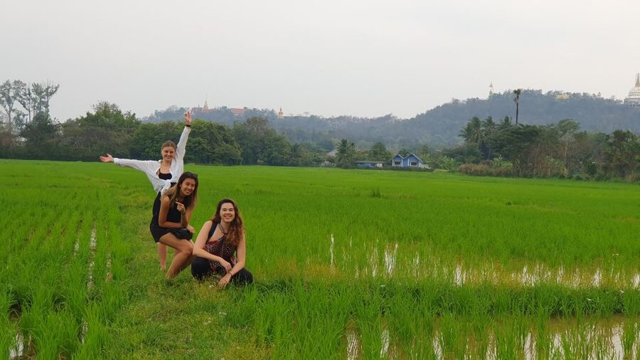 Meditation Retreat and Self-Care in Nature - Gentle yoga that may be more demanding than expected