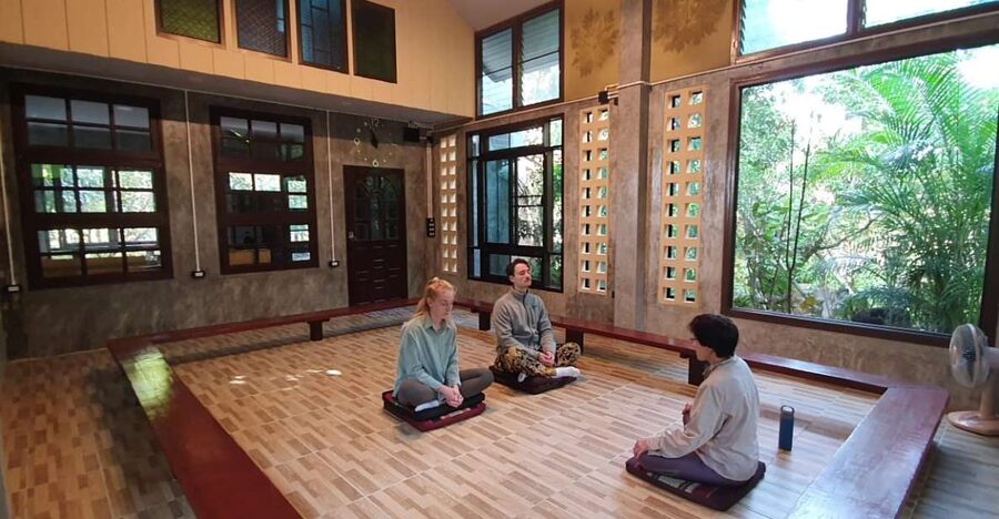 Meditation Retreat and Self-Care in Nature - Mindful walking among trees and open air