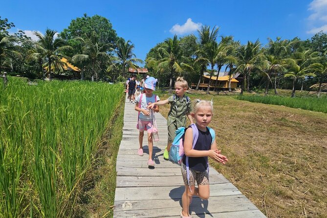 Old Phuket Farm Ticket - Countryside Local Life Culture - Pineapples, coconut, and the work behind Thai food