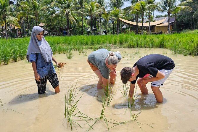 Old Phuket Farm Ticket - Countryside Local Life Culture - Is $36 good value?