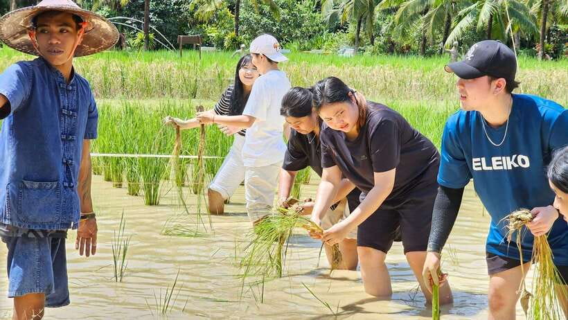 Old Phuket Farm Ticket - Countryside Local Life Culture - Who will enjoy Old Phuket Farm most?