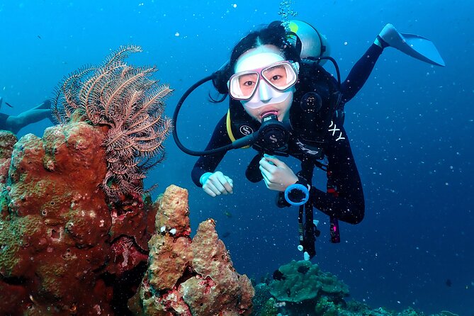 Open Water Course - Become certified diver in 3 days - Key points to know before you book