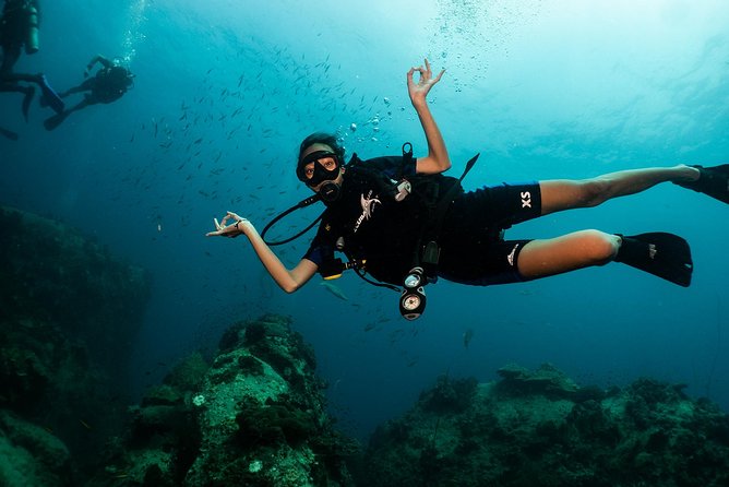 Open Water Course - Become certified diver in 3 days - Starting at Koh Tao Scuba Club at 9:00 am