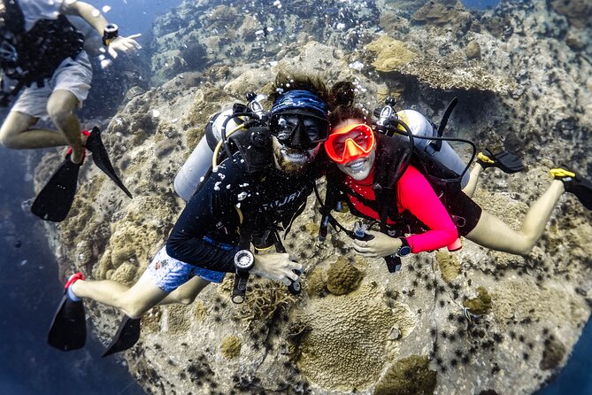 Open Water Course - Become certified diver in 3 days - The underwater setting and marine life