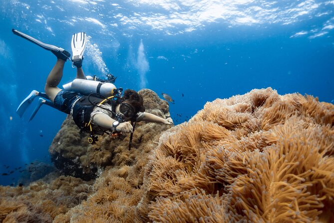 Open Water Course - Become certified diver in 3 days - Why Koh Tao works for first-time scuba students