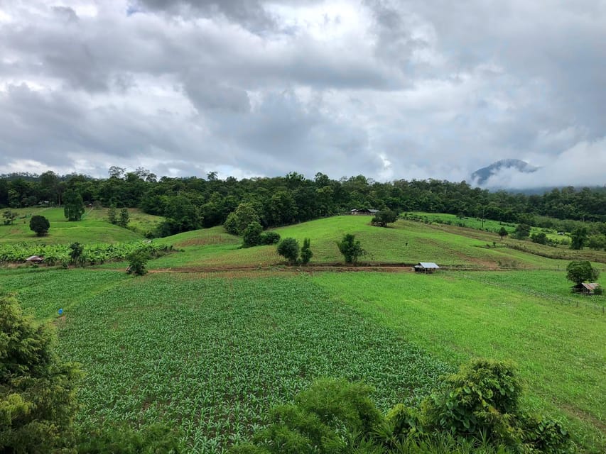 Pai: Ultimate Ziplining Adventure through the Jungle - The 550-meter ride over Pai’s fields