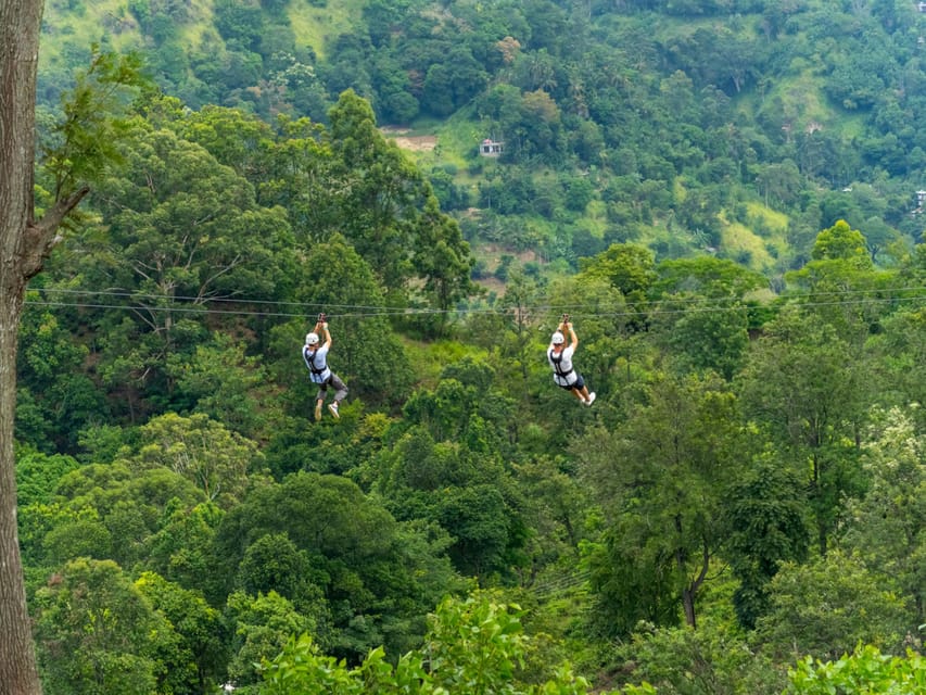 Pai: Ultimate Ziplining Adventure through the Jungle - Private or shared: choosing the right format