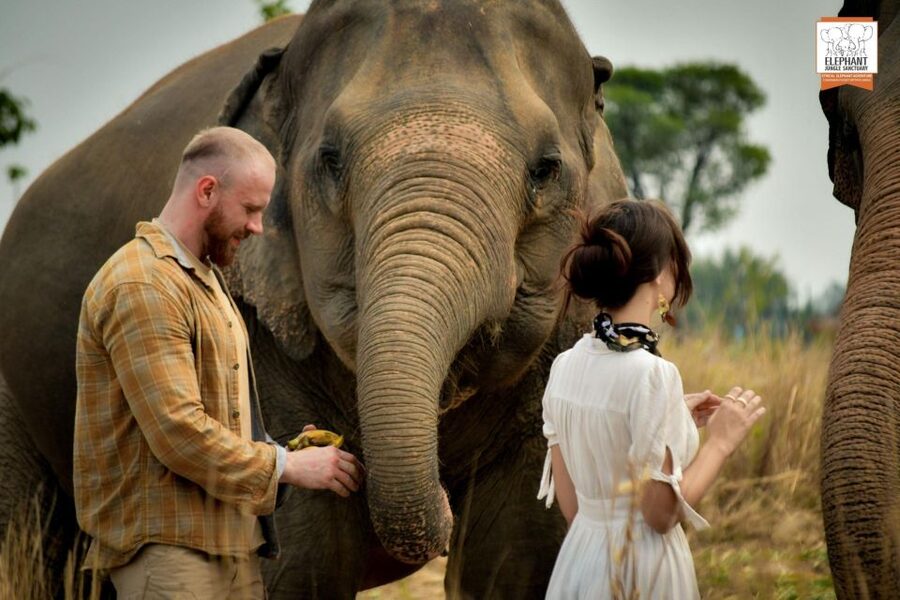 Pattaya: Elephant Jungle Sanctuary Feeding Experience - Key points to know before you go
