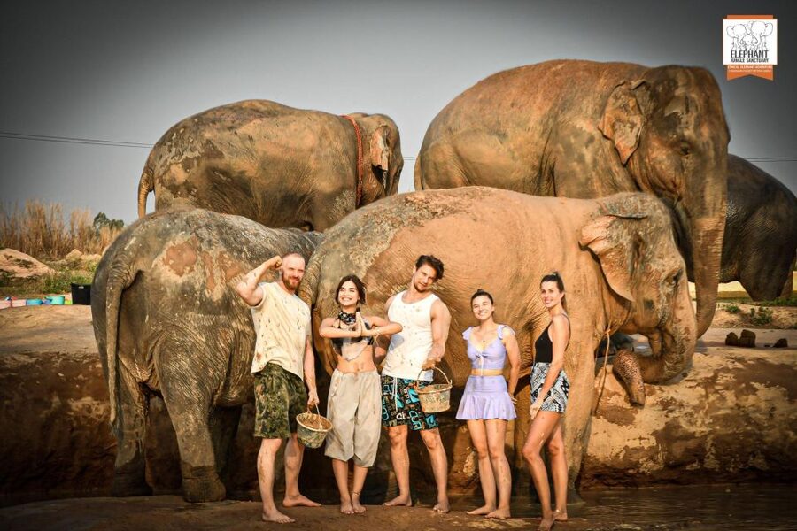 Pattaya: Elephant Jungle Sanctuary Feeding Experience - Meeting the elephants in Chonburi Province