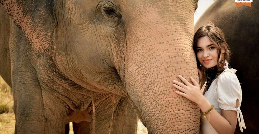 Pattaya: Elephant Jungle Sanctuary Feeding Experience - What the guide adds to the experience