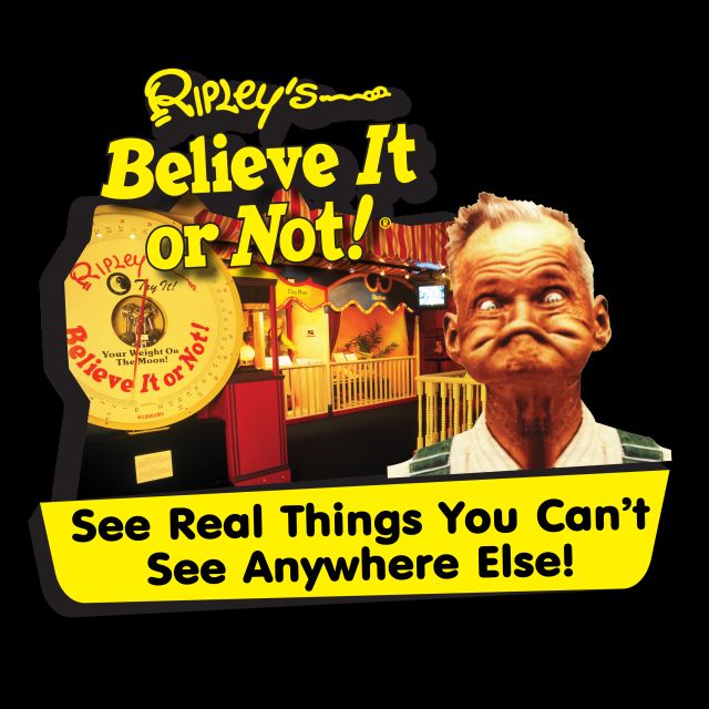 Pattaya: Ripley’s Believe It or Not! Entry Ticket - The 9DX simulator and the risk of a very short visit